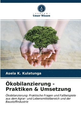bokomslag OEkobilanzierung - Praktiken & Umsetzung
