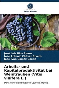 bokomslag Arbeits- und Kapitalproduktivitt bei Weintrauben (Vitis vinifera L.)