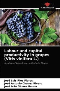 bokomslag Labour and capital productivity in grapes (Vitis vinifera L.)