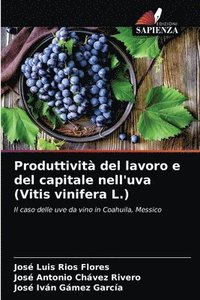 bokomslag Produttivit del lavoro e del capitale nell'uva (Vitis vinifera L.)
