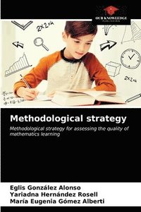 bokomslag Methodological strategy