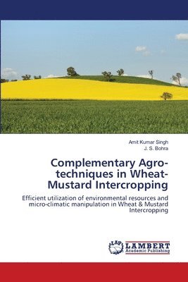 bokomslag Complementary Agro-techniques in Wheat-Mustard Intercropping