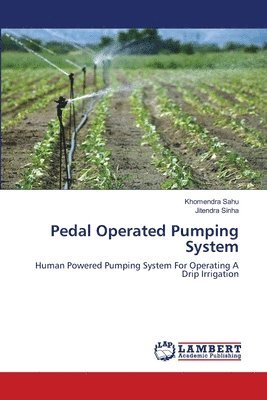 Pedal Operated Pumping System 1