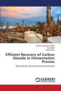 bokomslag Efficient Recovery of Carbon Dioxide in Fermentation Process