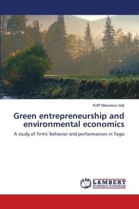 bokomslag Green entrepreneurship and environmental economics