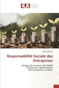 bokomslag Responsabilite Sociale des Entreprises