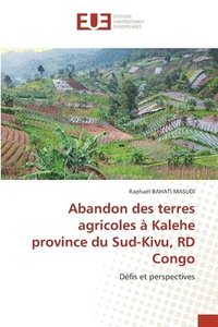 bokomslag Abandon des terres agricoles  Kalehe province du Sud-Kivu, RD Congo