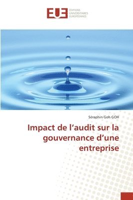 Impact de l'audit sur la gouvernance d'une entreprise 1