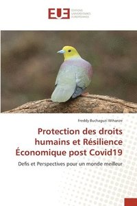 bokomslag Protection des droits humains et Rsilience conomique post Covid19