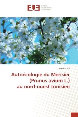 Autocologie du Merisier (Prunus avium L.) au nord-ouest tunisien 1