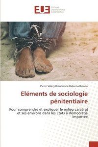 bokomslag Elements de sociologie penitentiaire