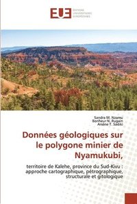 bokomslag Donnes gologiques sur le polygone minier de Nyamukubi,