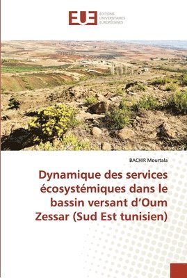 bokomslag Dynamique des services ecosystemiques dans le bassin versant d'Oum Zessar (Sud Est tunisien)