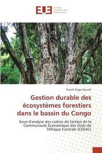 bokomslag Gestion durable des ecosystemes forestiers dans le bassin du Congo