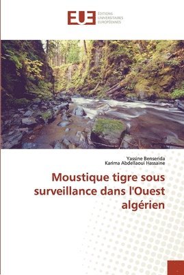 Moustique tigre sous surveillance dans l'Ouest algrien 1