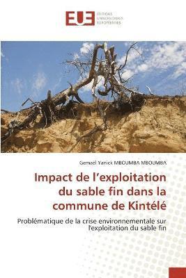 bokomslag Impact de l'exploitation du sable fin dans la commune de Kintl