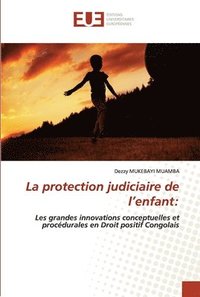 bokomslag La protection judiciaire de l'enfant