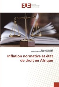 bokomslag Inflation normative et tat de droit en Afrique