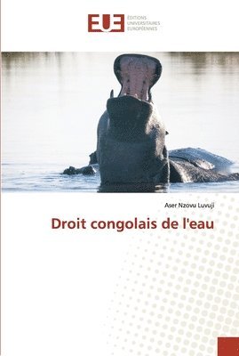 Droit congolais de l'eau 1