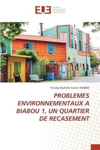 bokomslag Problemes Environnementaux a Biabou 1, Un Quartier de Recasement