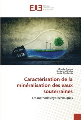 bokomslag Caractérisation de la minéralisation des eaux souterraines
