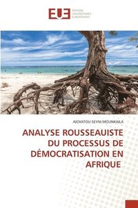 bokomslag Analyse Rousseauiste Du Processus de Dmocratisation En Afrique
