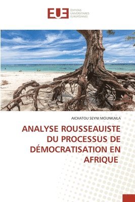 bokomslag Analyse Rousseauiste Du Processus de Dmocratisation En Afrique