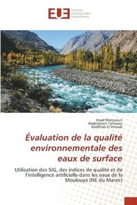 bokomslag Evaluation de la qualite environnementale des eaux de surface