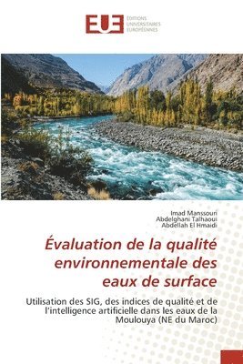 Evaluation de la qualite environnementale des eaux de surface 1
