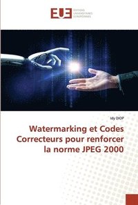 bokomslag Watermarking et Codes Correcteurs pour renforcer la norme JPEG 2000