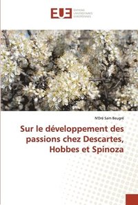 bokomslag Sur le dveloppement des passions chez Descartes, Hobbes et Spinoza