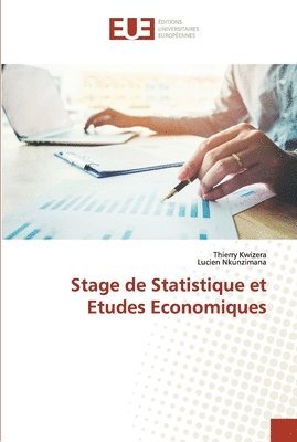 bokomslag Stage de Statistique et Etudes Economiques