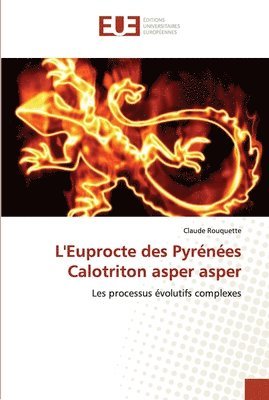 L'Euprocte des Pyrnes Calotriton asper asper 1