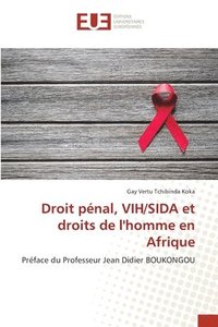 bokomslag Droit pnal, VIH/SIDA et droits de l'homme en Afrique
