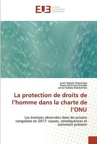 bokomslag La protection de droits de l'homme dans la charte de l'ONU