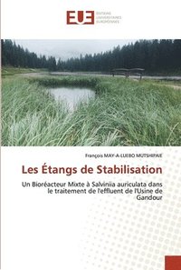 bokomslag Les tangs de Stabilisation