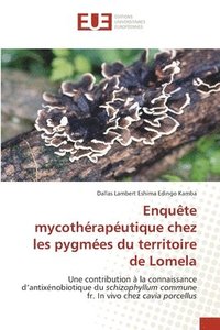 bokomslag Enqute mycothraputique chez les pygmes du territoire de Lomela