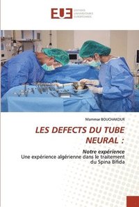 bokomslag Les Defects Du Tube Neural