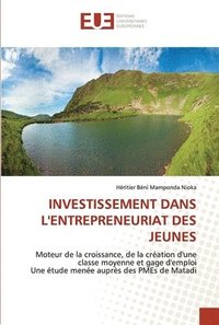 bokomslag Investissement Dans l'Entrepreneuriat Des Jeunes