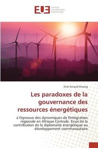 bokomslag Les paradoxes de la gouvernance des ressources nergtiques