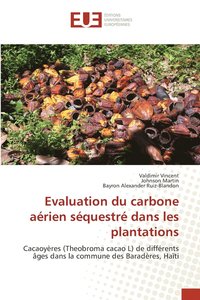 bokomslag Evaluation du carbone arien squestr dans les plantations