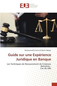 bokomslag Guide sur une Exprience Juridique en Banque