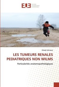 bokomslag Les Tumeurs Renales Pediatriques Non Wilms
