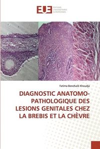 bokomslag Diagnostic Anatomo-Pathologique Des Lesions Genitales Chez La Brebis Et La Chvre