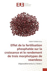 bokomslag Effet de la fertilisation phosphate sur la croissance et le rendement de trois morphotypes de voandzou