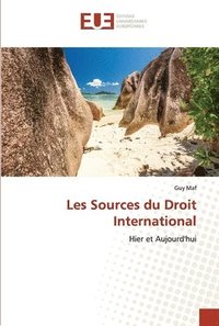 bokomslag Les Sources du Droit International