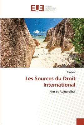 bokomslag Les Sources du Droit International