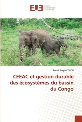 CEEAC et gestion durable des cosystmes du bassin du Congo 1