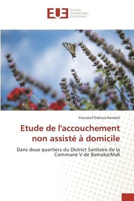 bokomslag Etude de l'accouchement non assisté à domicile