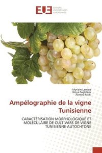bokomslag Amplographie de la vigne Tunisienne